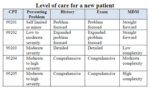 E And M Coding Chart