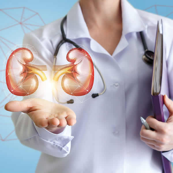 March is National Kidney Month: Know How the Kidneys Support Your Health