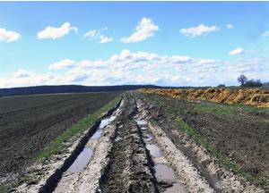 Muddy Roads Ahead for Electronic Health Record Documentation?