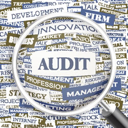 Internal Audits,CPT,ICD-9 codes,Utilization